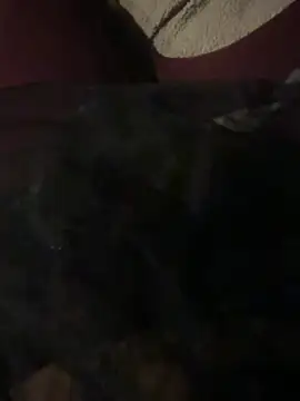 Snapshot of nenad062 chatting on December 17, 2025, 7:03 am nenad062 online show from December 17, 2025, 7:03 am