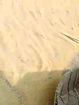 Snapshot of CatchingBouquet chatting on November 21, 2025, 4:44 am CatchingBouquet online show from November 21, 2025, 4:44 am