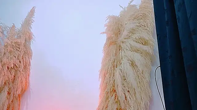 Snapshot of JulietaDavis chatting on February 20, 2026, 9:32 am JulietaDavis online show from February 20, 2026, 9:32 am