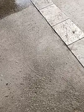 Snapshot of jvdzj-0_ chatting on October 19, 2025, 3:34 pm jvdzj-0 online show from October 19, 2025, 3:34 pm