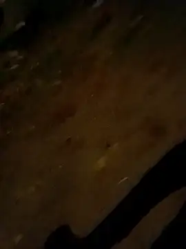 Snapshot of jvdzj-0_ chatting on October 28, 2025, 9:50 pm jvdzj-0 online show from October 28, 2025, 9:50 pm