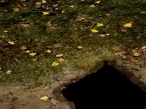 Snapshot of jvdzj-0_ chatting on October 29, 2025, 10:44 pm jvdzj-0 online show from October 29, 2025, 10:44 pm