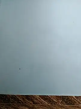 tight pussy57 online show from November 15, 2025, 5:16 am