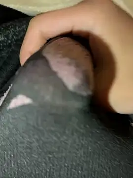 rrrrrriyyffhyeeee online show from February 16, 2026, 12:29 am