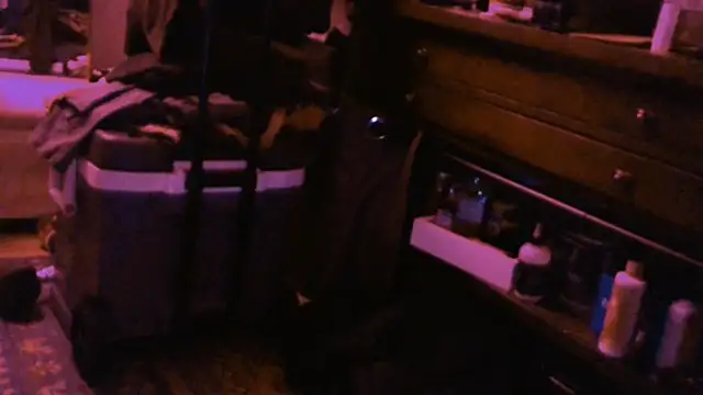 Magnetic127 online show from November 10, 2025, 12:04 pm