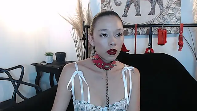 Snapshot of Doll4anall chatting on February 21, 2026, 6:53 pm Doll4anall online show from February 21, 2026, 6:53 pm