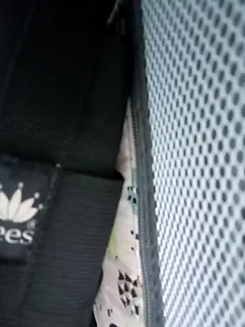 Snapshot of candy__fox_ chatting on February 14, 2026, 3:42 pm candy fox online show from February 14, 2026, 3:42 pm