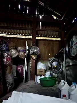 cincin 677 online show from September 11, 2025, 1:28 am