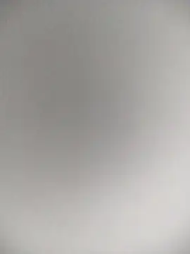 paulo220wats online show from February 22, 2026, 4:46 am