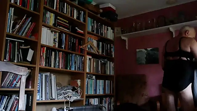 Solek56 online show from October 14, 2025, 9:32 am