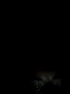 Snapshot of Xhimo5 chatting on September 28, 2025, 8:31 am Xhimo5 online show from September 28, 2025, 8:31 am