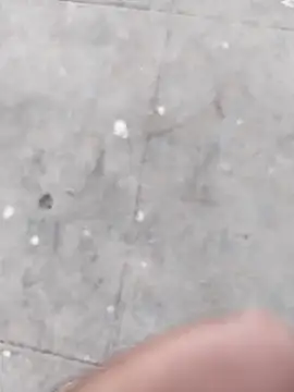 Wet BunnyFun online show from November 5, 2025, 12:05 pm