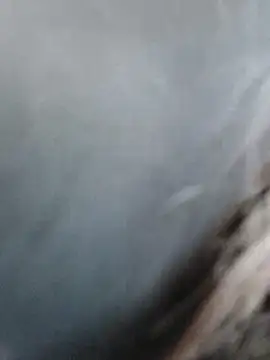 Snapshot of meomeocute chatting on March 11, 2026, 10:21 am meomeocute online show from March 11, 2026, 10:21 am