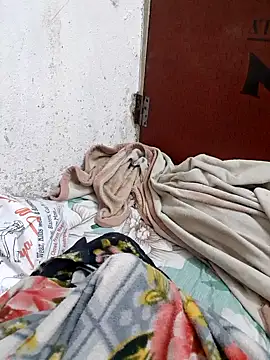 Snapshot of Kittu-rani66 chatting on February 22, 2026, 11:20 am Kittu-rani66 online show from February 22, 2026, 11:20 am