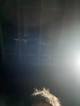 Snapshot of usu0130 chatting on October 16, 2025, 2:07 pm usu0130 online show from October 16, 2025, 2:07 pm