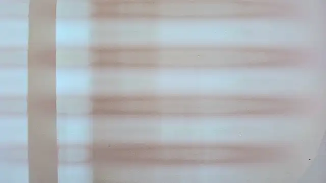 zarah andrew   online show from October 20, 2025, 12:05 pm