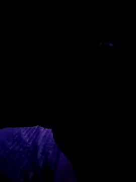 Snapshot of Thoma9034 chatting on October 23, 2025, 3:17 am Thoma9034 online show from October 23, 2025, 3:17 am