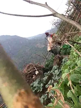 Maymay97 online show from December 20, 2025, 10:33 am