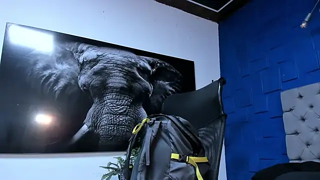 andres-clark92 online show from November 30, 2025, 6:12 pm