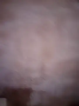 Snapshot of ddllrr224 chatting on December 16, 2025, 11:43 pm ddllrr224 online show from December 16, 2025, 11:43 pm