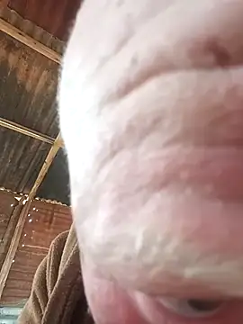 Msabungamazi01 online show from September 17, 2025, 9:00 am