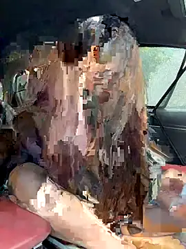 Snapshot of Linh_2004 chatting on December 4, 2025, 5:28 am Linh 2004 online show from December 4, 2025, 5:28 am