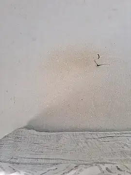 Snapshot of jujuhpimenta chatting on November 12, 2025, 11:21 am jujuhpimenta online show from November 12, 2025, 11:21 am