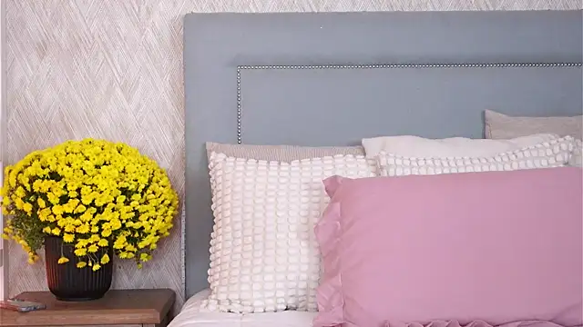 Snapshot of Sofy_Bradd chatting on November 8, 2025, 8:36 am Sofy Bradd online show from November 8, 2025, 8:36 am