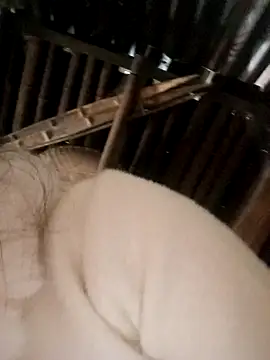 Snapshot of Bianly chatting on November 15, 2025, 2:31 am Bianly online show from November 15, 2025, 2:31 am