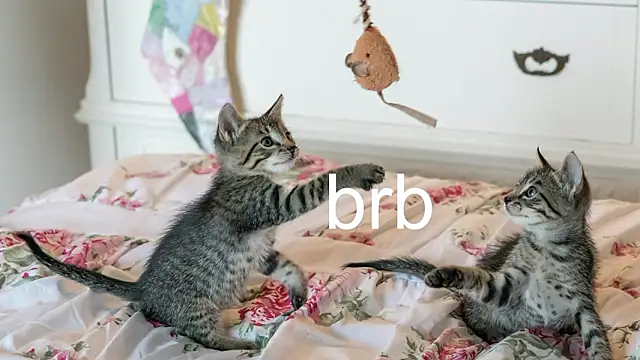 Pink girl0n online show from March 18, 2026, 9:51 pm