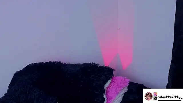 Snapshot of celestte_evans_1 chatting on February 8, 2026, 6:17 am celestte evans 1 online show from February 8, 2026, 6:17 am