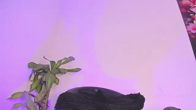 Snapshot of Lucy_shen_ chatting on January 10, 2026, 12:01 am Lucy shen online show from January 10, 2026, 12:01 am