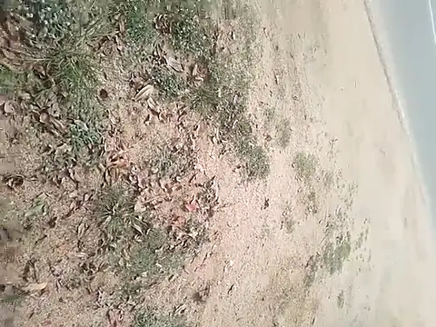 SAManthapathmasri online show from November 17, 2025, 7:47 am