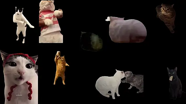 ch0wn m online show from September 19, 2025, 10:38 am