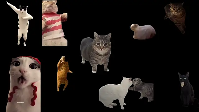 ch0wn m online show from September 20, 2025, 11:55 am