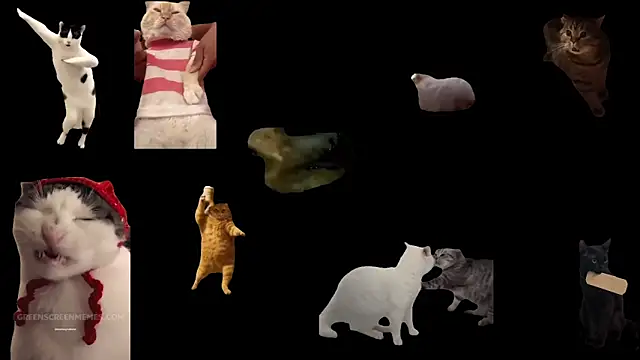 Snapshot of ch0wn_m chatting on February 1, 2026, 2:59 pm ch0wn m online show from February 1, 2026, 2:59 pm