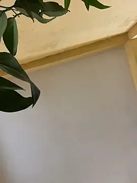 Snapshot of femboyslqueen chatting on December 1, 2025, 6:40 am femboyslqueen online show from December 1, 2025, 6:40 am