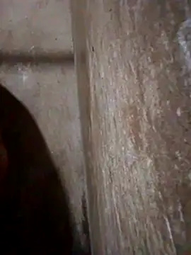 Lujor online show from March 13, 2026, 11:44 pm