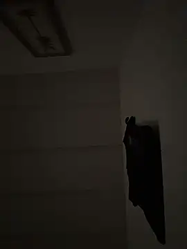 tyrek5051 online show from November 12, 2025, 5:02 pm