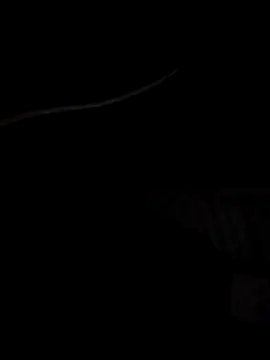 Snapshot of Xharmakesyoufeelorgasms chatting on October 19, 2025, 12:11 am Xharmakesyoufeelorgasms online show from October 19, 2025, 12:11 am