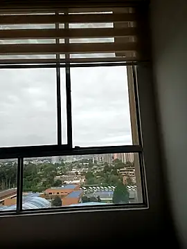 Snapshot of DiosaFortuna chatting on February 3, 2026, 12:54 pm DiosaFortuna online show from February 3, 2026, 12:54 pm