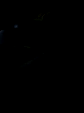 Snapshot of Reeelo chatting on November 19, 2025, 5:57 pm Reeelo online show from November 19, 2025, 5:57 pm