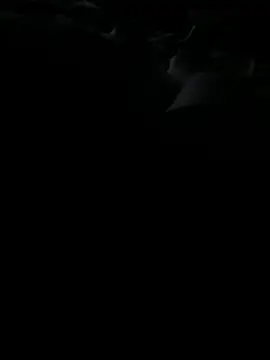 Snapshot of Reeelo chatting on November 25, 2025, 3:17 am Reeelo online show from November 25, 2025, 3:17 am