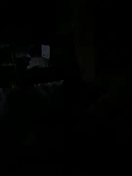 Snapshot of Reeelo chatting on December 15, 2025, 4:06 am Reeelo online show from December 15, 2025, 4:06 am