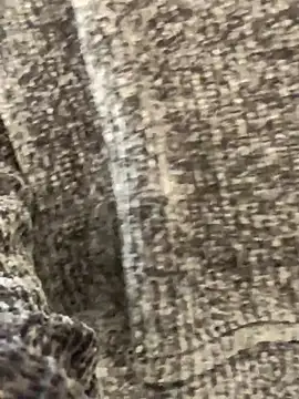 sunset24 online show from October 13, 2025, 8:58 am