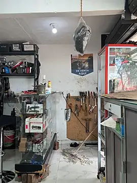 Terra-22cm online show from October 25, 2025, 3:07 pm