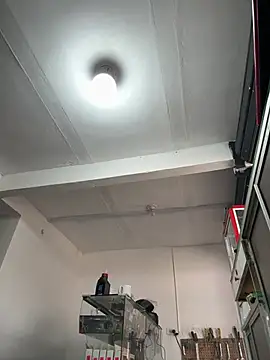 Terra-22cm online show from March 1, 2026, 2:30 pm