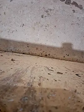 Negodabenga online show from December 17, 2025, 11:33 pm