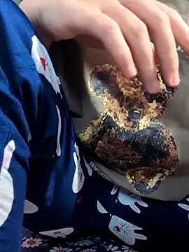 Snapshot of sasud2 chatting on November 3, 2025, 2:02 am sasud2 online show from November 3, 2025, 2:02 am