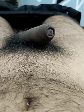 Bull54321 online show from September 19, 2025, 4:47 am